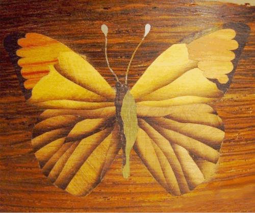 File:MarquetryButterfly.png