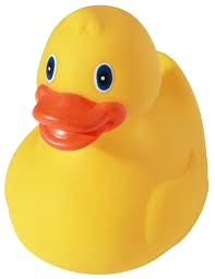 File:PlasticDuck.png