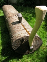 Cleaving a 'green' tree trunk using axe and wedges