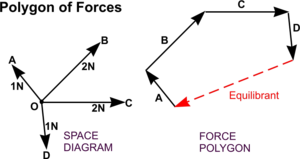 Polygon of Forces